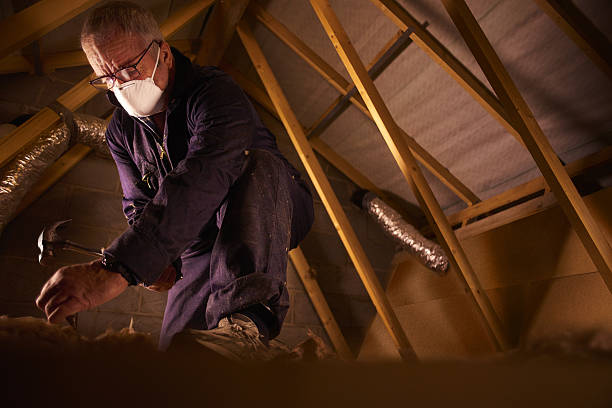 Best Cellulose Insulation in Reed City, MI