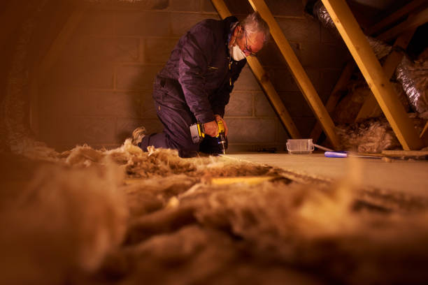 Best DIY Insulation Kits and Guidance in Reed City, MI